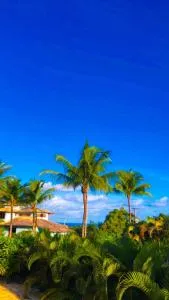 Espelho Bahia Blue House - 普拉亚埃斯佩洛