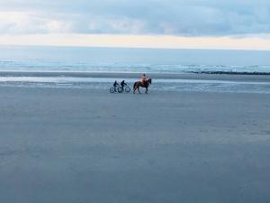 Appartements Chambre tout confort avec commodites espace repas wifi parking : photos des chambres