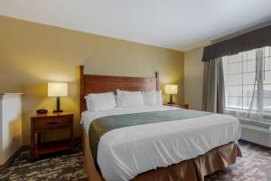 King Room with Whirlpool - Non-Smoking room in Best Western Plus Red River Inn
