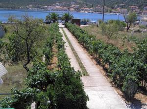 Apartments by the sea Vinisce, Trogir - 6015