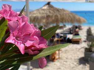 Emily Boutique Hotel