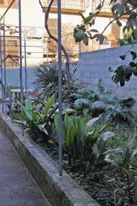 Apartments with parking space Supetar, Brac - 6026