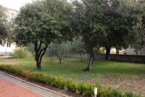 Apartment Vrsi - Mulo 5951c