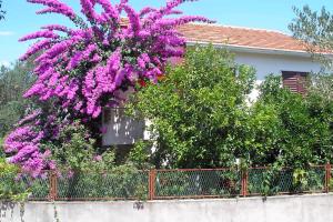 Apartments by the sea Arbanija, Ciovo - 6062