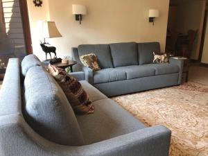 Luxurious 1BRLoft - Ski-in Ski-out Access to Beaver Creek condo