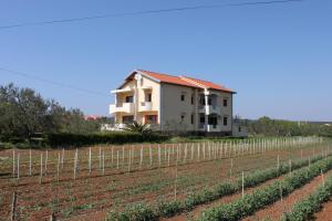 Apartments by the sea Sukosan, Zadar - 6120