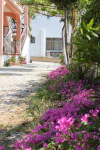 Apartments by the sea Pakostane, Biograd - 6161