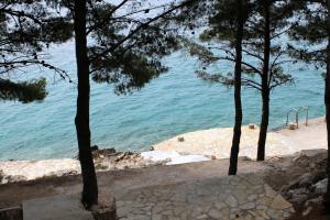 Apartments by the sea Drage, Biograd - 6171