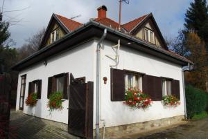 Pansion Boróka Apartmanházak - Fagyöngy House Velem Madjarska