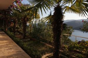 Apartment Rabac 7410d