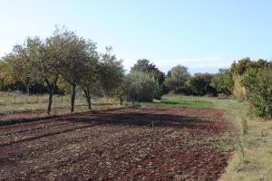 Apartments with a parking space Valtura, Pula - 7419