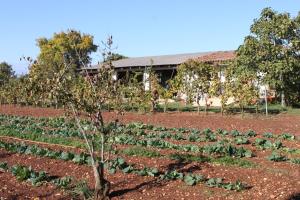 Apartments with a parking space Valtura, Pula - 7419