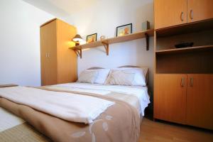 Apartments with a parking space Ravni, Labin - 7450