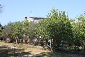 Apartments by the sea Sukosan, Zadar - 6133