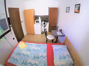 Double Room room in Apartments and rooms by the sea Bibinje Zadar - 6199