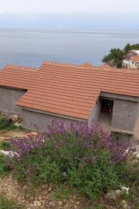 Seaside secluded apartments Cove Pobij, Hvar - 7506