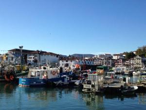 Appartements Appartement moderne au centre-ville avec parking a Saint-Jean-de-Luz - FR-1-4-646 : photos des chambres