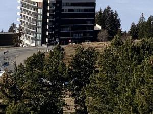 Appartement 2 pièces au pied des pistes, balcon est - FR-1-340-259