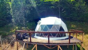 Apuseni Glamping Retreat