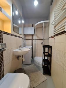 Apartament Vincent