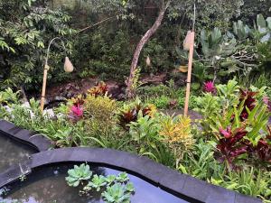 Balian Bliss Retreat complex with private pool