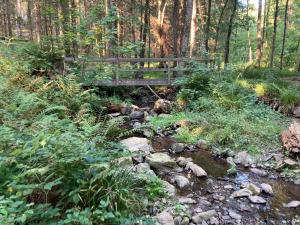 Terrasses de Malmedy 47