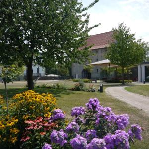 Single Room room in Hotel Rittergut Stoermede