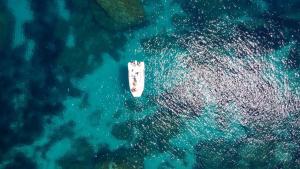 Villa fantastica Villasimius img46