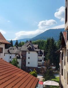 Borovets Ski&Spa Studio - Semiramida Garden A16