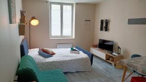 Appartements Sleep'in Orleans centre-studio confortable et cosy : photos des chambres