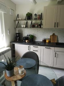 Przytulny apartament SUDECKI KLIMAT i rowery gratis