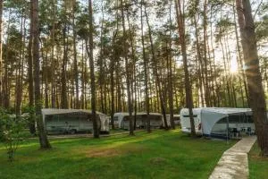 Urlaub im Wohnwagen mitten im Wald - Klein Jasedow