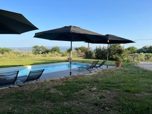 Maisons d'hotes Terre Luberon : Suite avec Jacuzzi