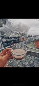 Pensiunea Barsan - سوسفيتا