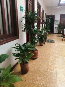 HOTEL LA REPUBLICA MANIZALES