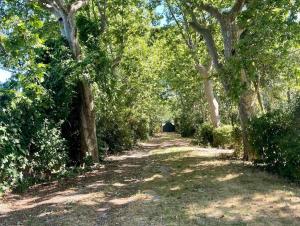 Maisons de vacances SCI Domaine Saint Martin le grand : photos des chambres