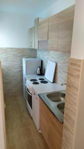 FLAT FOR RENT MARINOVIC