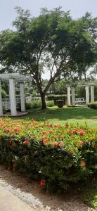 Villa Sueño Potrero