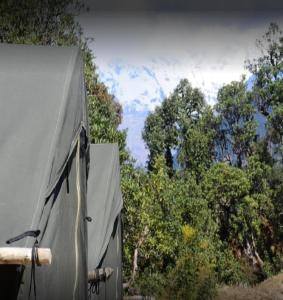 Camping Huts at Lord Shiva Camps