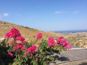 OWL’S NESTTHE BLUE COTTAGE