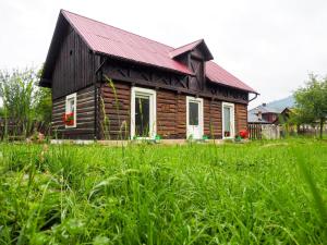 Wild-Traditional Bucovina