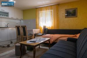 Apartman Raj Macevine