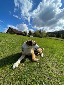 Садиба Одеса