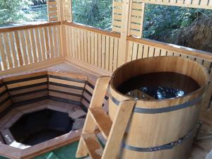 Садиба Срібні Карпати