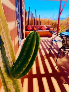 Casa Campanario - San Pedro de Atacama, Desconéctate!