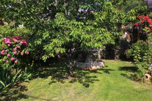 Apartments with a parking space Lovran, Opatija - 7738