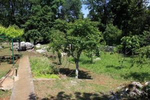 Apartment Opric 7716b