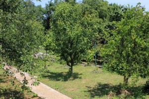 Apartment Opric 7716b