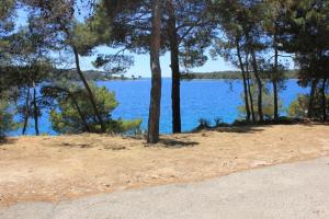 Apartments by the sea Mali Losinj (Losinj) - 8054