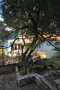 Apartments by the sea Korcula - 9160